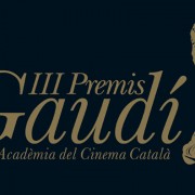 acc_gaudi_01